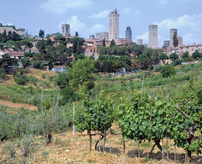 View of the Town by Unbekannt Unbekannt